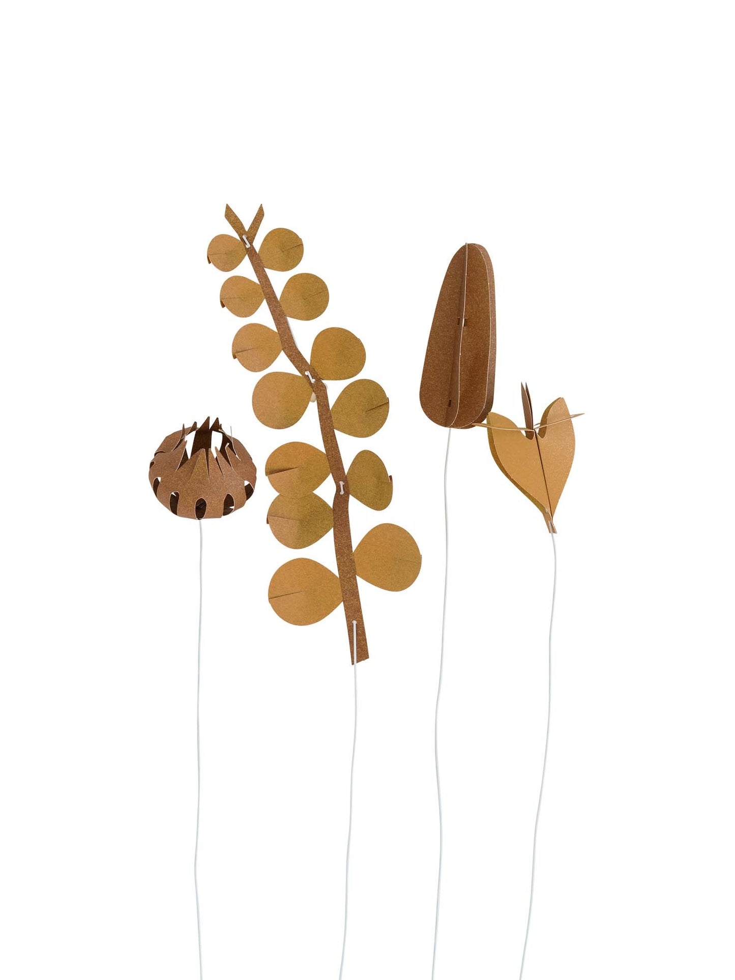 JURIANNE MATTER Filed Flowers klein - braun